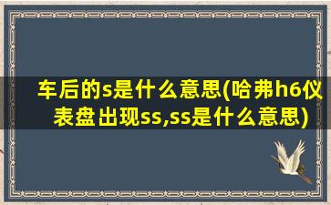 车后的s是什么意思(哈弗h6仪表盘出现ss,ss是什么意思)