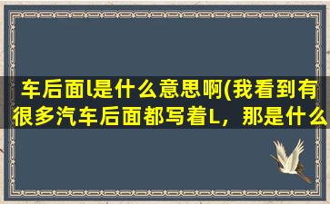 车后面l是什么意思啊(我看到有很多汽车后面都写着L，那是什么意思啊)