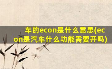 车的econ是什么意思(econ是汽车什么功能需要开吗)