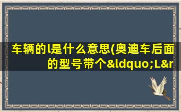 车辆的l是什么意思(奥迪车后面的型号带个“L”是什么意思)