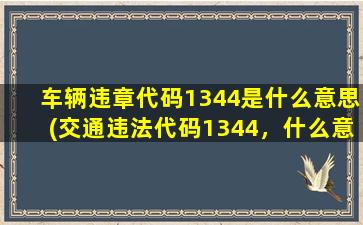 车辆违章代码1344是什么意思(交通违法代码1344，什么意思，怎么罚)