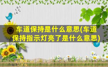 车道保持是什么意思(车道保持指示灯亮了是什么意思)