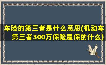 车险的第三者是什么意思(机动车第三者300万保险是保的什么)