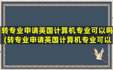 转专业申请英国计算机专业可以吗(转专业申请英国计算机专业可以吗女生)