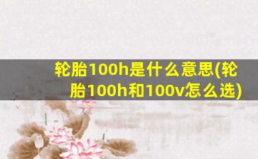 轮胎100h是什么意思(轮胎100h和100v怎么选)