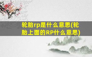 轮胎rp是什么意思(轮胎上面的RP什么意思)