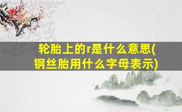 轮胎上的r是什么意思(钢丝胎用什么字母表示)