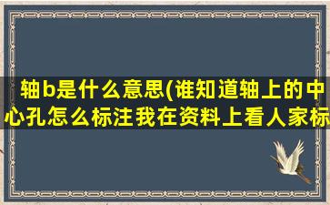 轴b是什么意思(谁知道轴上的中心孔怎么标注我在资料上看人家标的是2-B412是什么意思4和12代表什么B呢)