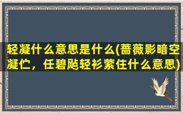 轻凝什么意思是什么(蔷薇影暗空凝伫，任碧飐轻衫萦住什么意思)