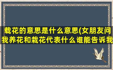 载花的意思是什么意思(女朋友问我养花和栽花代表什么谁能告诉我这是什么意思)