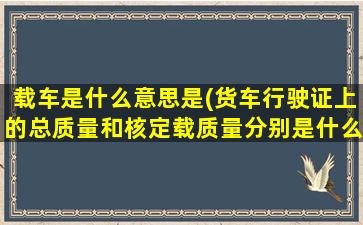 载车是什么意思是(货车行驶证上的总质量和核定载质量分别是什么意思)