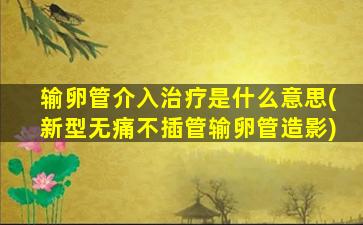 输卵管介入治疗是什么意思(新型无痛不插管输卵管造影)