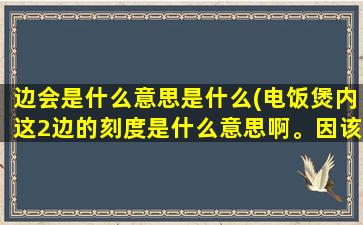 边会是什么意思是什么(电饭煲内这2边的刻度是什么意思啊。因该几杯米放几杯水啊)