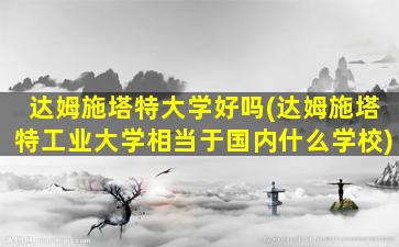 达姆施塔特大学好吗(达姆施塔特工业大学相当于国内什么学校)