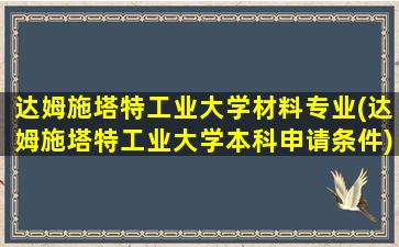 达姆施塔特工业大学材料专业(达姆施塔特工业大学本科申请条件)