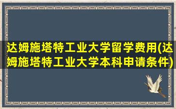 达姆施塔特工业大学留学费用(达姆施塔特工业大学本科申请条件)