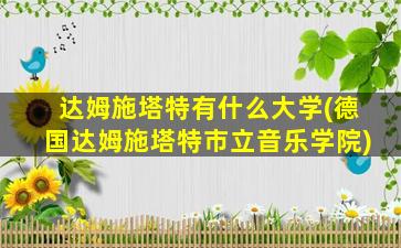 达姆施塔特有什么大学(德国达姆施塔特市立音乐学院)