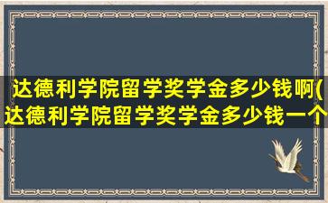 达德利学院留学奖学金多少钱啊(达德利学院留学奖学金多少钱一个月)