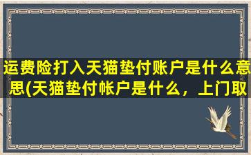 运费险打入天猫垫付账户是什么意思(天猫垫付帐户是什么，上门取件说免费，之前自己买运费险了2.06元，理赔金给了垫付为什么)