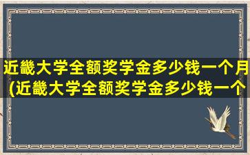 近畿大学全额奖学金多少钱一个月(近畿大学全额奖学金多少钱一个)