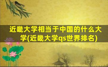 近畿大学相当于中国的什么大学(近畿大学qs世界排名)