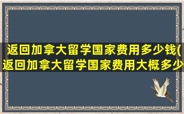 返回加拿大留学国家费用多少钱(返回加拿大留学国家费用大概多少)