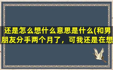 还是怎么想什么意思是什么(和男朋友分手两个月了，可我还是在想他，我该怎么办啊)