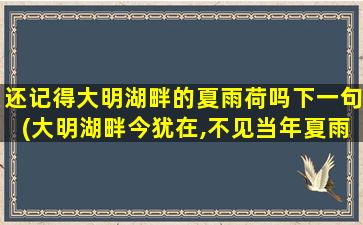 还记得大明湖畔的夏雨荷吗下一句(大明湖畔今犹在,不见当年夏雨荷)