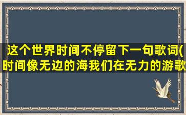 这个世界时间不停留下一句歌词(时间像无边的海我们在无力的游歌词)