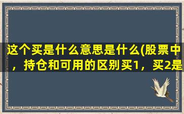 这个买是什么意思是什么(股票中，持仓和可用的区别买1，买2是什么意思啊呢)