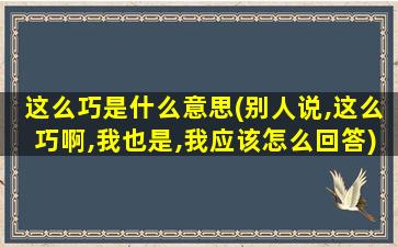 这么巧是什么意思(别人说,这么巧啊,我也是,我应该怎么回答)