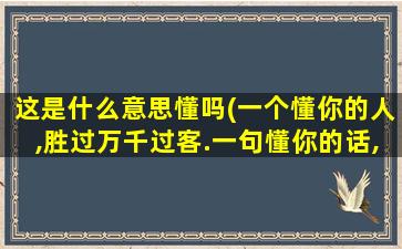 这是什么意思懂吗(一个懂你的人,胜过万千过客.一句懂你的话,更比无数安慰.这句话是什么意思)