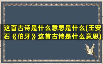 这首古诗是什么意思是什么(王安石《伯牙》这首古诗是什么意思)