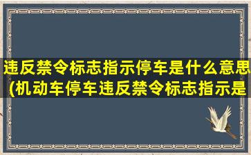 违反禁令标志指示停车是什么意思(机动车停车违反禁令标志指示是怎么回事)