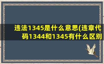 违法1345是什么意思(违章代码1344和1345有什么区别)