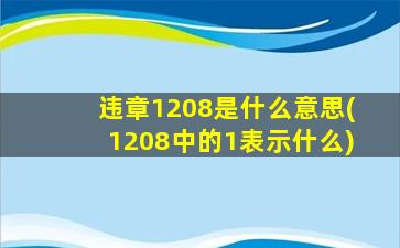 违章1208是什么意思(1208中的1表示什么)