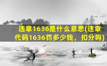 违章1636是什么意思(违章代码1636罚多少钱，扣分吗)