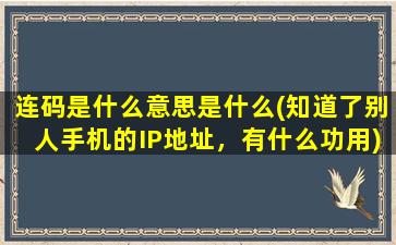 连码是什么意思是什么(知道了别人手机的IP地址，有什么功用)