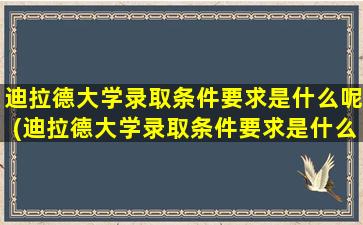 迪拉德大学录取条件要求是什么呢(迪拉德大学录取条件要求是什么样的)