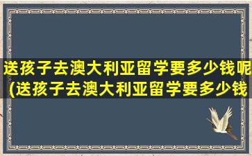 送孩子去澳大利亚留学要多少钱呢(送孩子去澳大利亚留学要多少钱一年)