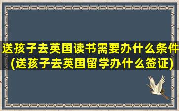 送孩子去英国读书需要办什么条件(送孩子去英国留学办什么签证)