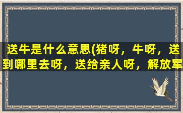 送牛是什么意思(猪呀，牛呀，送到哪里去呀，送给亲人呀，解放军是什么歌曲)