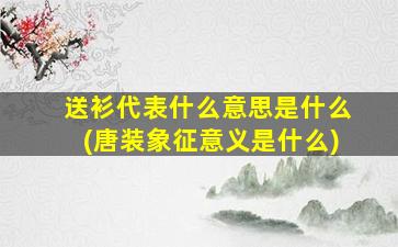 送衫代表什么意思是什么(唐装象征意义是什么)