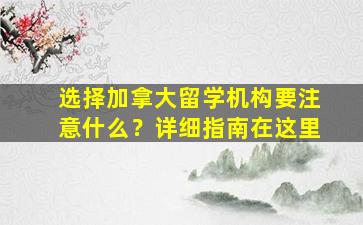 选择加拿大留学机构要注意什么？详细指南在这里