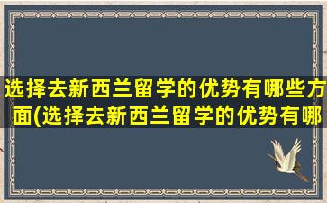 选择去新西兰留学的优势有哪些方面(选择去新西兰留学的优势有哪些英语)