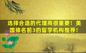 选择合适的代理商很重要！美国排名前3的留学机构推荐！