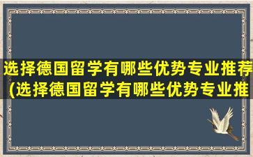 选择德国留学有哪些优势专业推荐(选择德国留学有哪些优势专业推荐书)