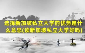 选择新加坡私立大学的优势是什么意思(读新加坡私立大学好吗)