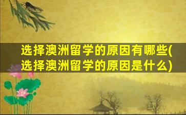 选择澳洲留学的原因有哪些(选择澳洲留学的原因是什么)