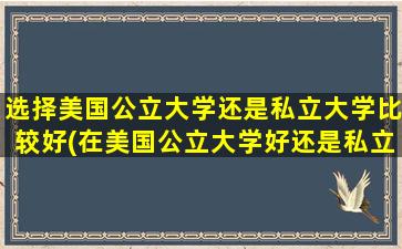 选择美国公立大学还是私立大学比较好(在美国公立大学好还是私立大学好)